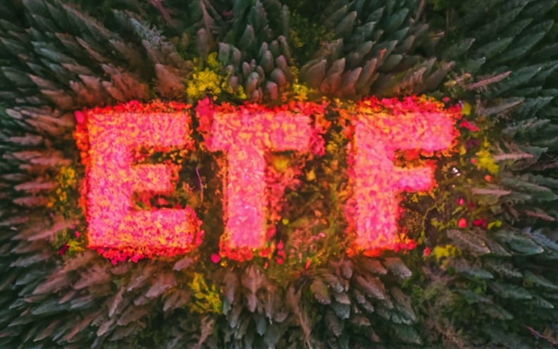杠杆ETF不过是冰山一角：从散户到货币基金，系统性风险正悄然蔓延